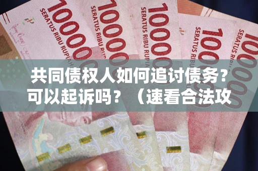 北京共同债权人如何追讨债务？可以起诉吗？（速看合法攻略）